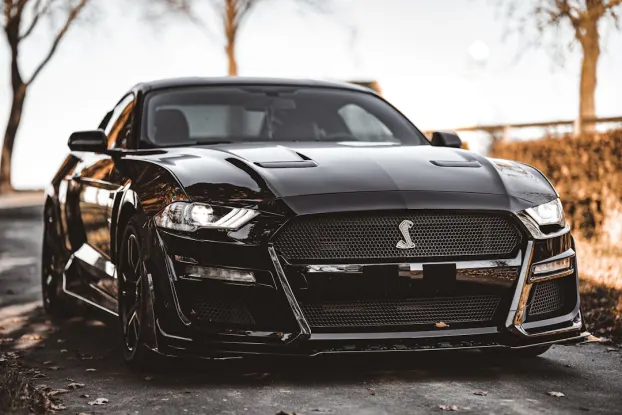 CoolPlay Casino Android/iOS Forrit